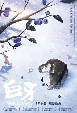 欧美日韩一区二区在线视频