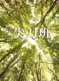 亚洲一级成人