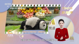 成人欧美一区二区三区小说